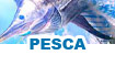 Pesca