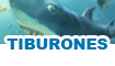 juegos de tiburones