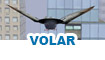 Volar