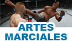 Artes marciales
